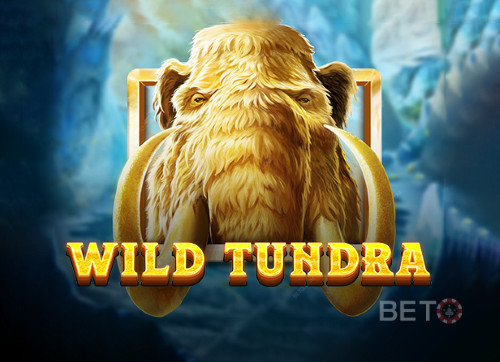 Wild Tundra