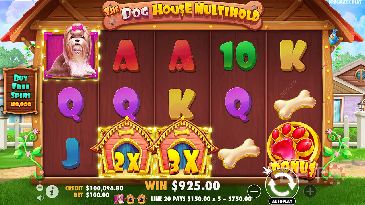Các tính năng thưởng được giải thích trong The Dog House Multihold của Pragmatic Play
