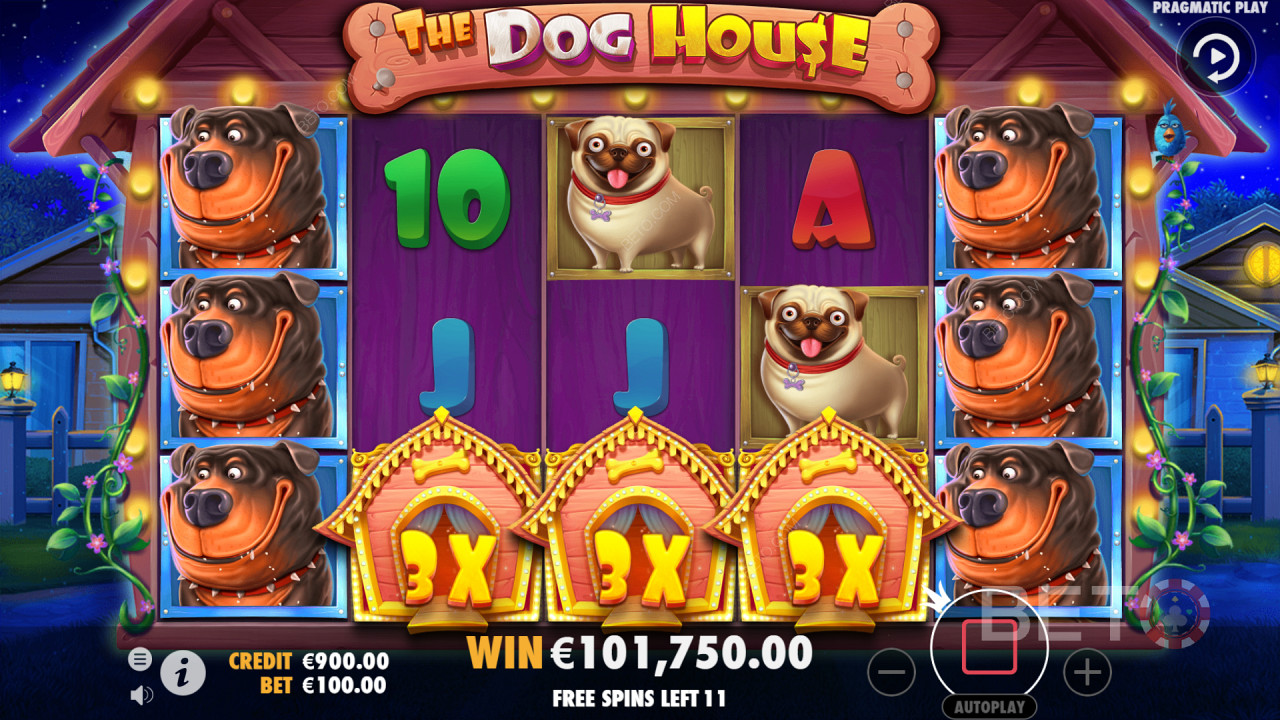 The Dog House - Một trò chơi rất thân thiện và phổ biến