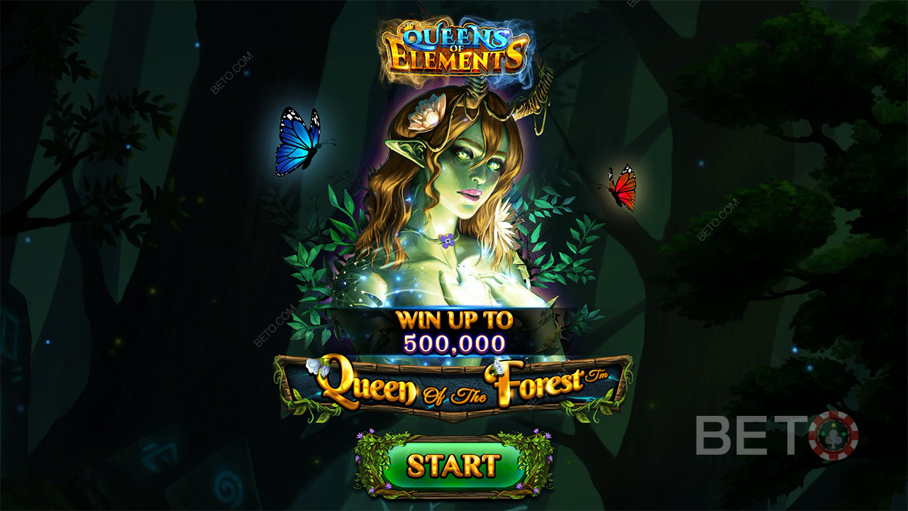 Queen of the Forest Chơi Miễn Phí