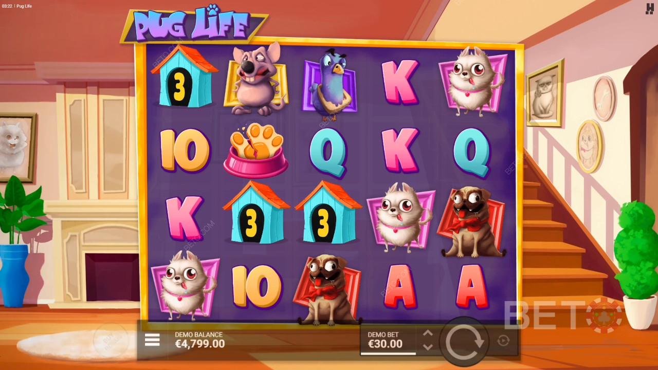 Đánh giá cuộc sống của Pug bởi BETO Slots
