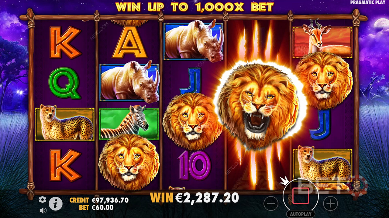 Đánh giá Safari King của BETO Slots
