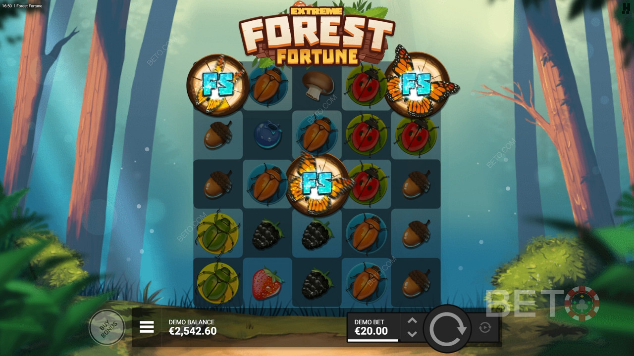 Đánh giá Forest Fortune của BETO Slots