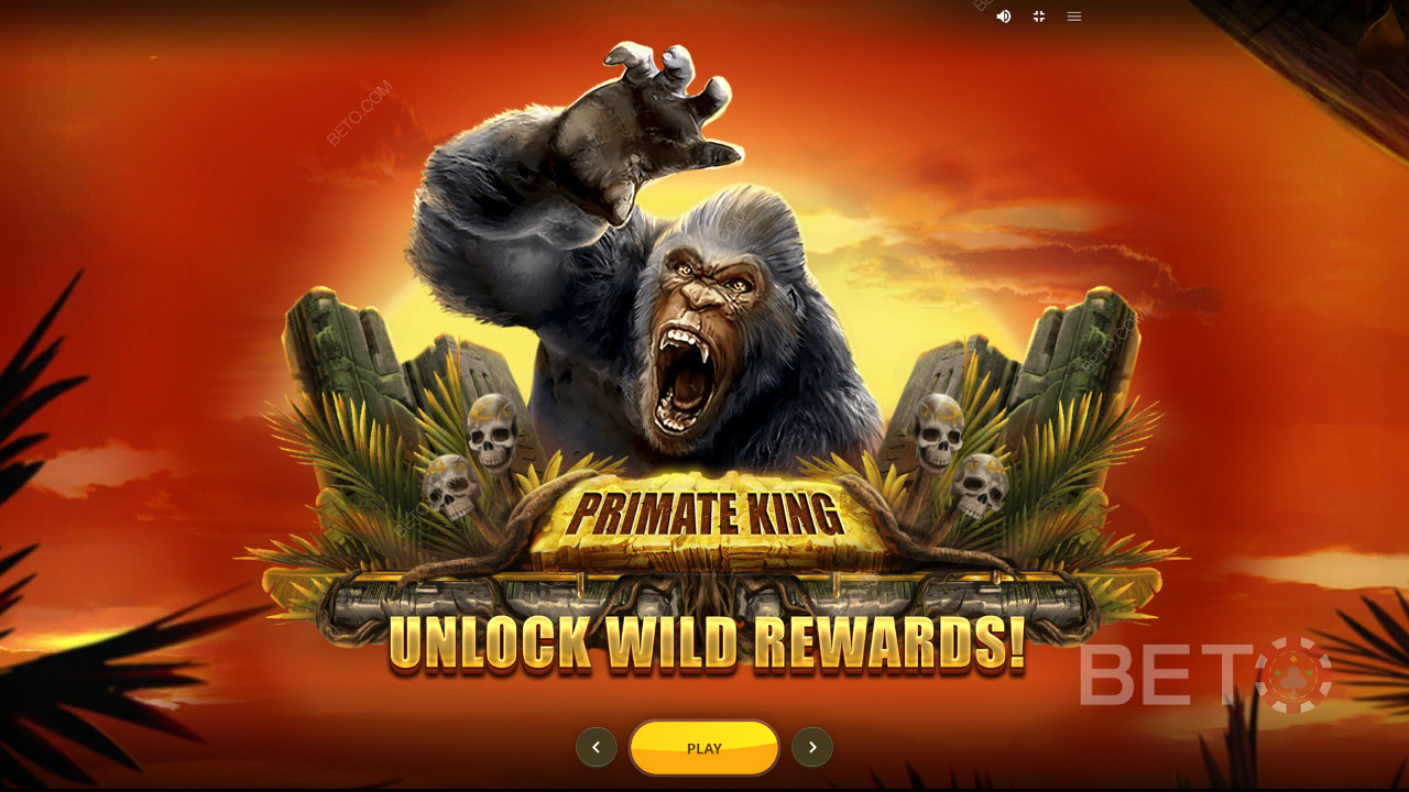 Đồ họa hấp dẫn của Primate King Slot