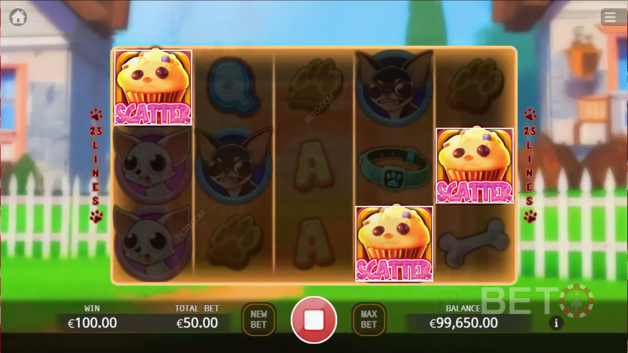 Đánh giá Chihuahua Party của BETO Slots