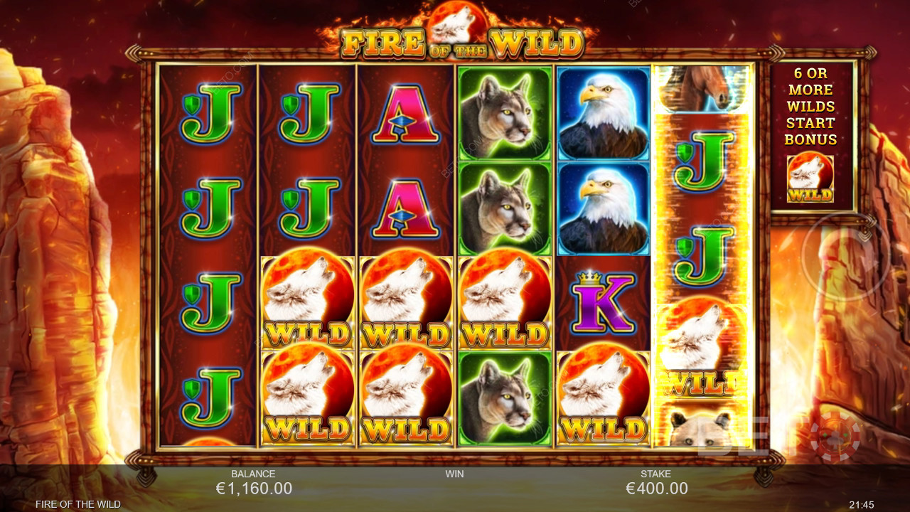 Đánh giá Fire of the Wild của BETO Slots