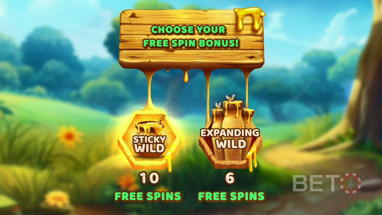 Chủ đề & Thiết kế: Bee Adventure Quest