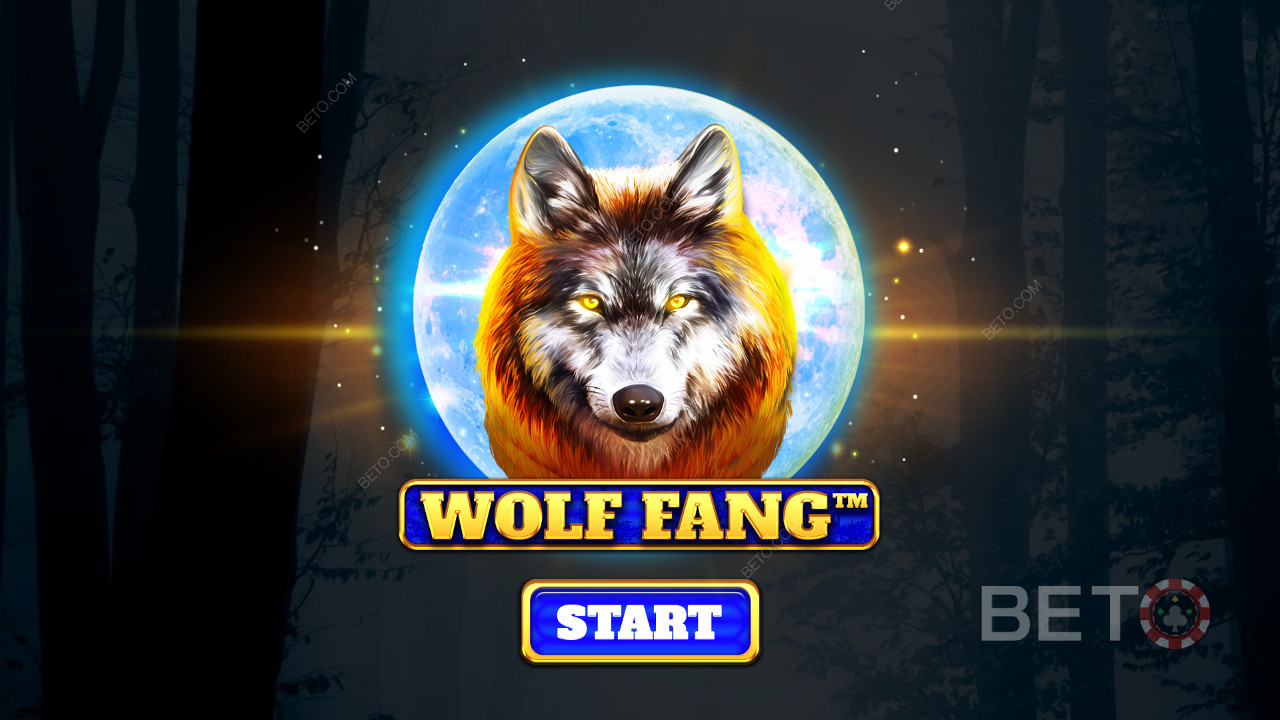 Đi săn giữa bầy sói hoang dã nhất và giành giải thưởng trong trò chơi trực tuyến Wolf Fang