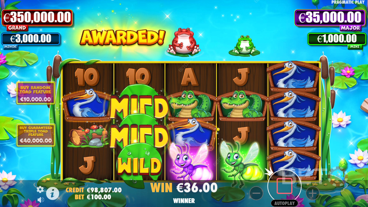 Đánh giá Tiny Toads của BETO Slots