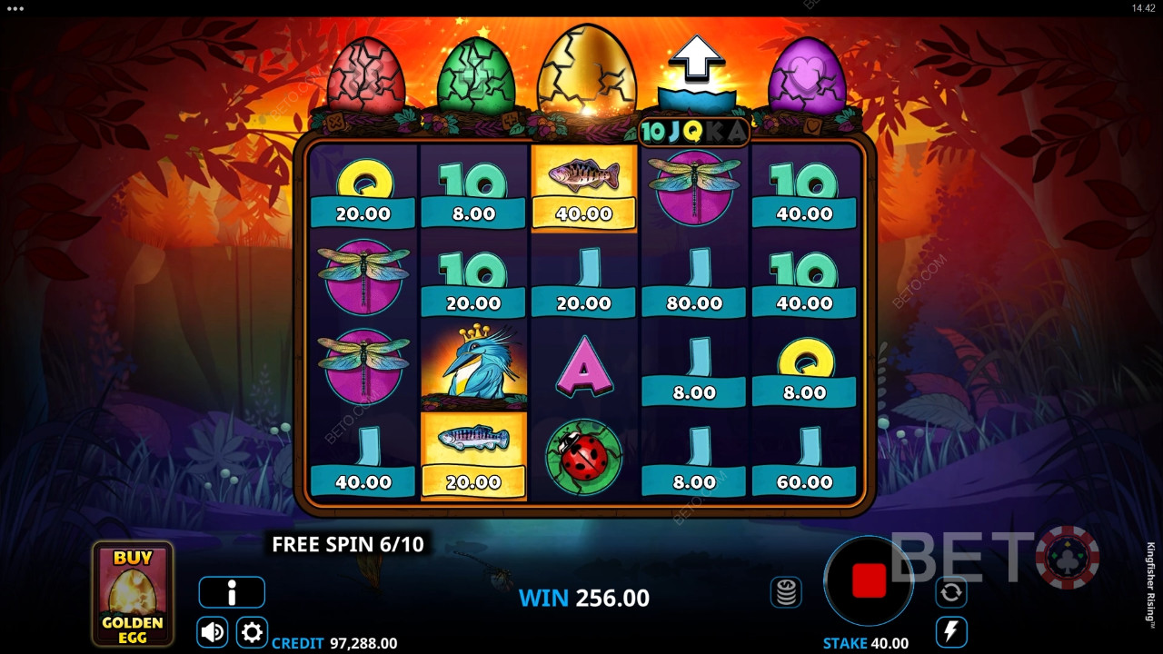 Đánh giá Kingfisher Rising của BETO Slots
