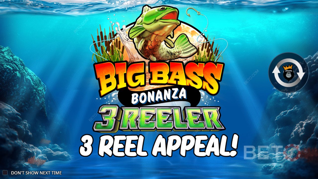Cách chơi Big Bass Bonanza 3 Reeler của Reel Kingdom