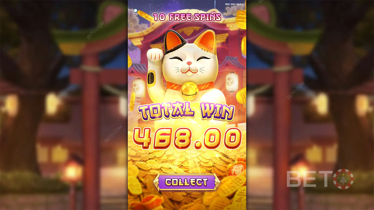 Win Win Neko - Có hay không