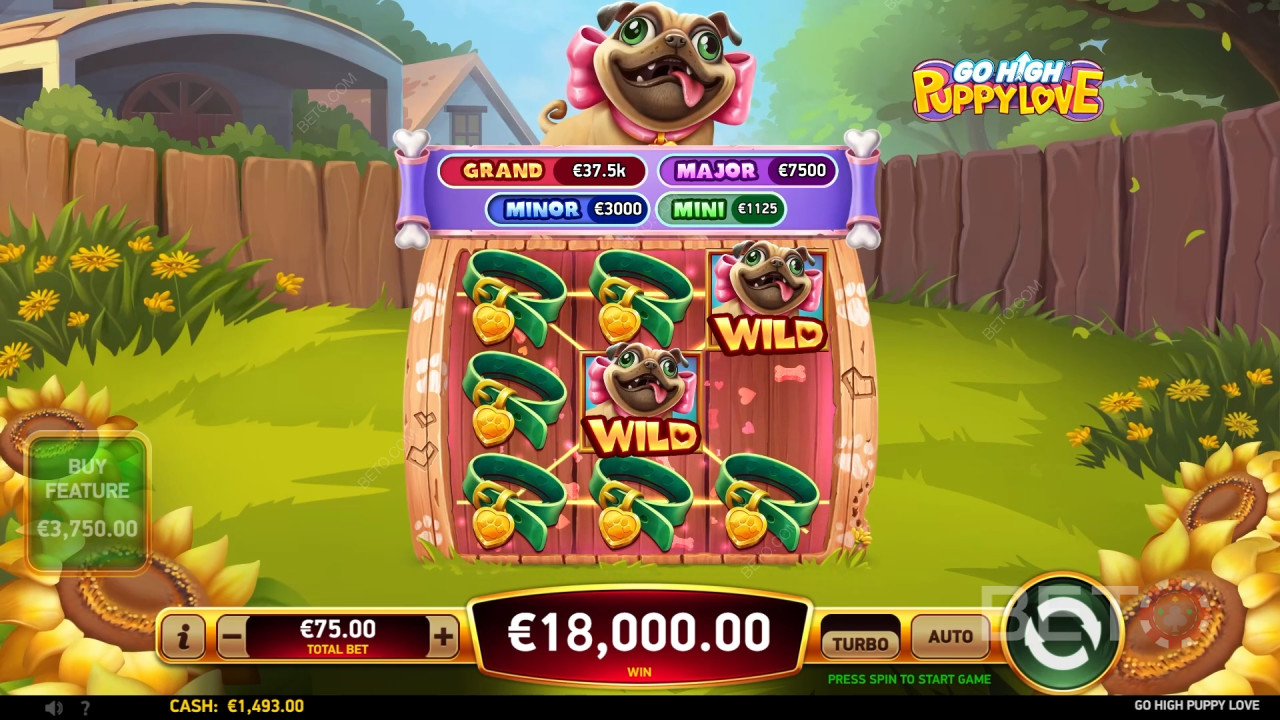 Đánh giá Go High Puppy Love của BETO Slots
