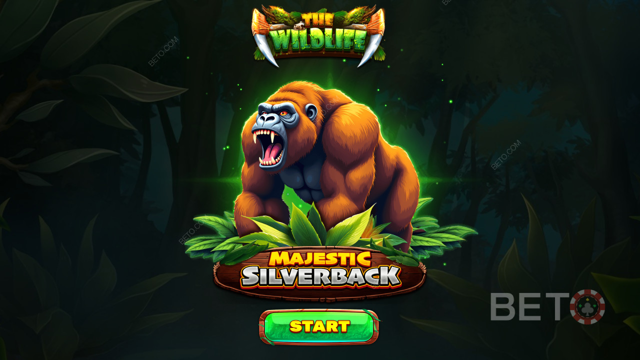 Các tính năng bổ sung được giải thích trong Majestic Silverback của Spinomenal