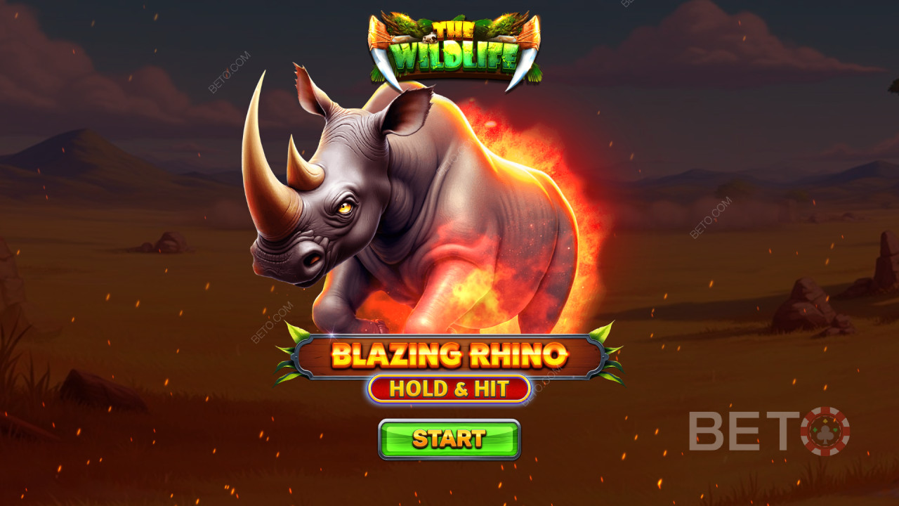 Cách chơi Blazing Rhino Hold & Hit của Spinomenal