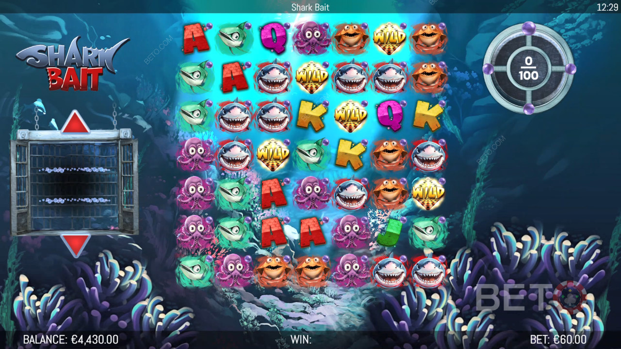 Các tính năng bổ sung được giải thích trong Shark Bait của Hungry Bear