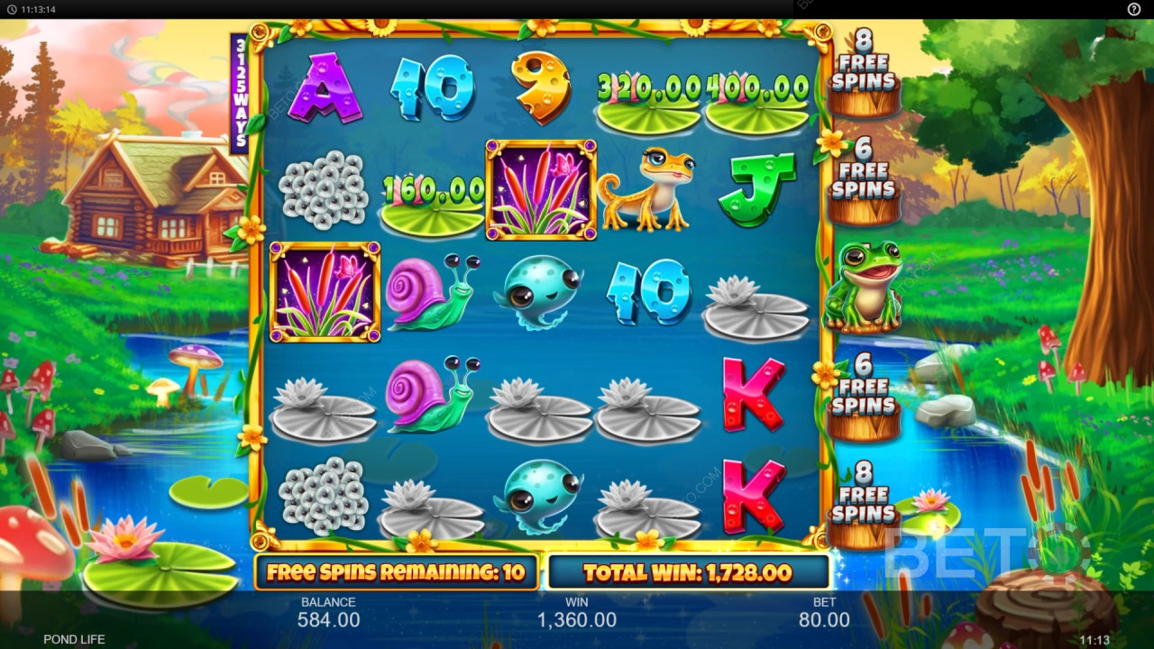 Giải thích về các tính năng bổ sung trong Pond Life của Inspired Gaming
