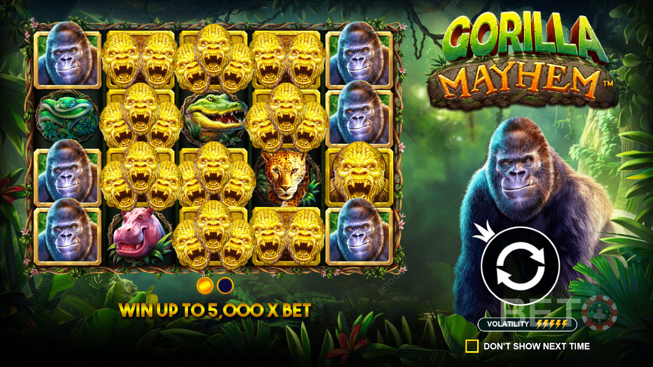 Các biểu tượng Golden Gorilla đóng một vai trò quan trọng trong slot Gorilla Mayhem