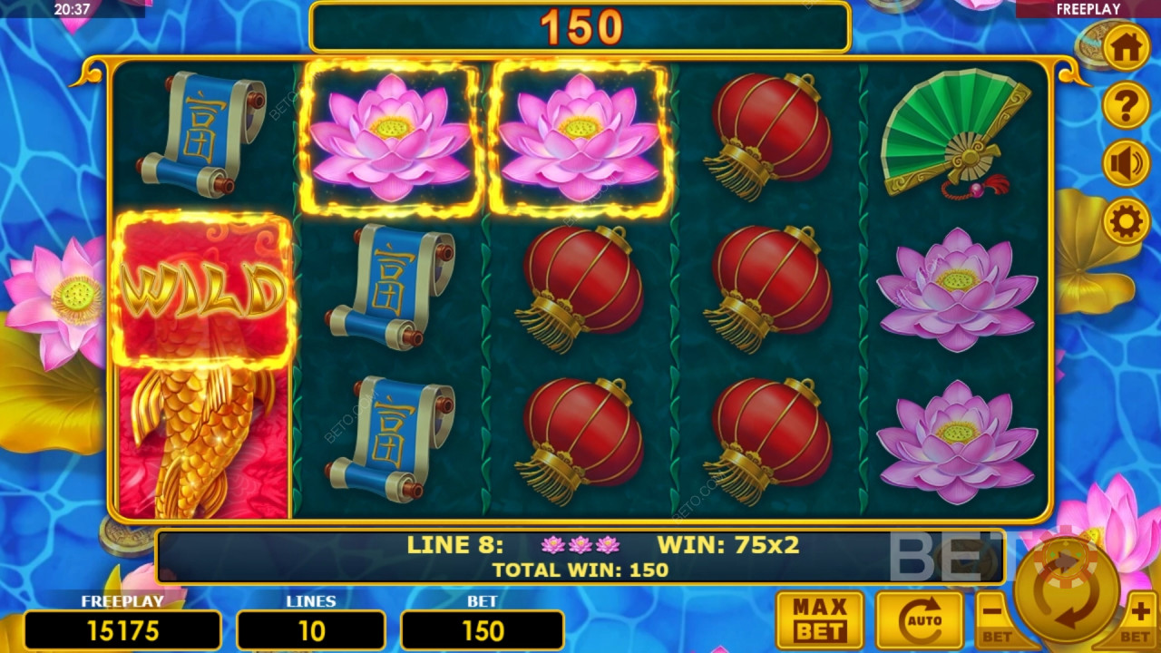 Giải thích về các tính năng bổ sung trong Golden Fish của Amatic Industries