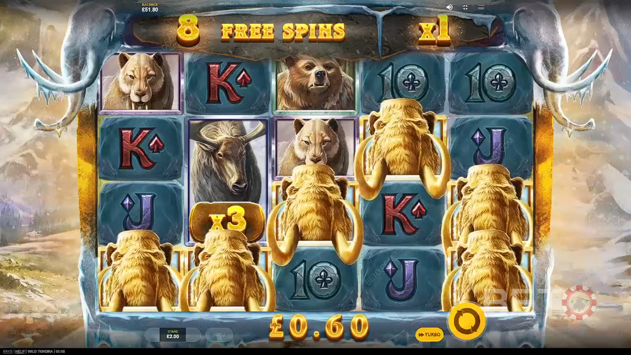 Đánh giá Wild Tundra của BETO Slots