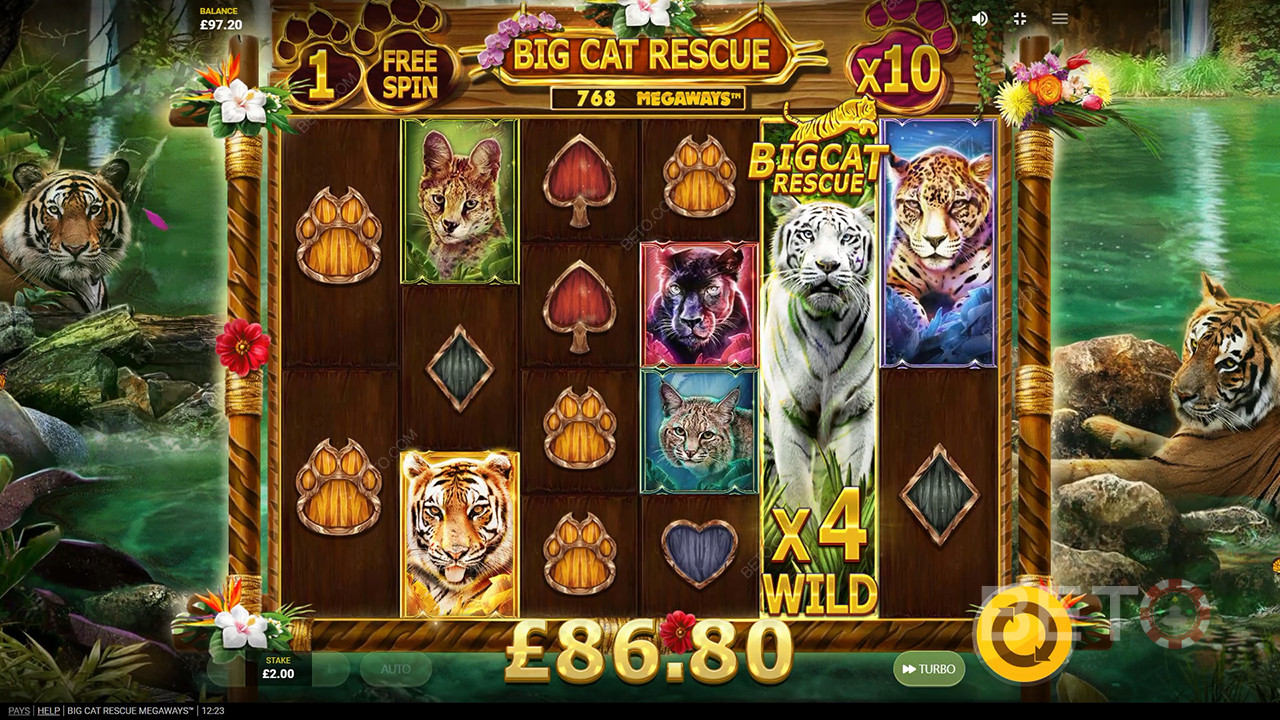 Đánh giá Big Cat Rescue Megaways của BETO Slots