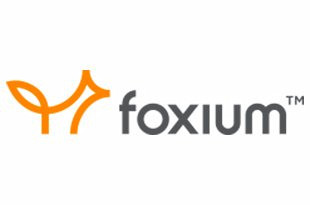 Foxium ᐈ Chơi slot miễn phí ✚ Đọc đánh giá (2025)