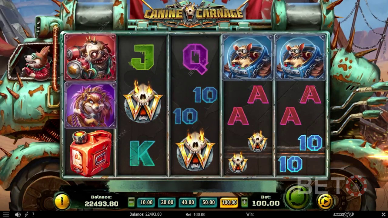 Đánh giá Canine Carnage của BETO Slots