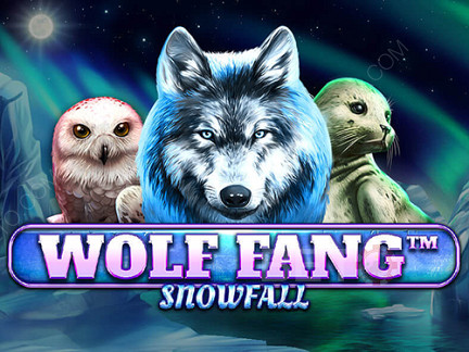 Wolf Fang Snowfall Phiên bản thử
