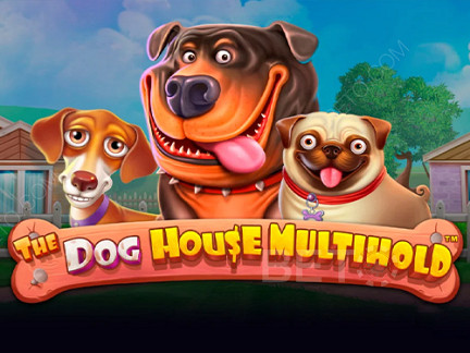 The Dog House Multihold Phiên bản thử