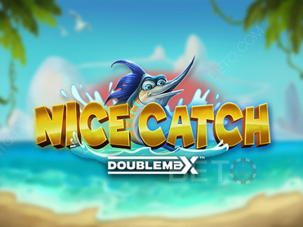 Nice Catch DoubleMax Phiên bản thử