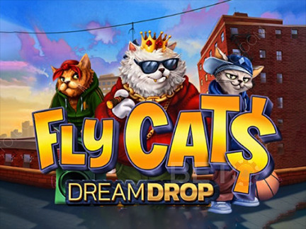 Fly Cats Dream Drop Phiên bản thử