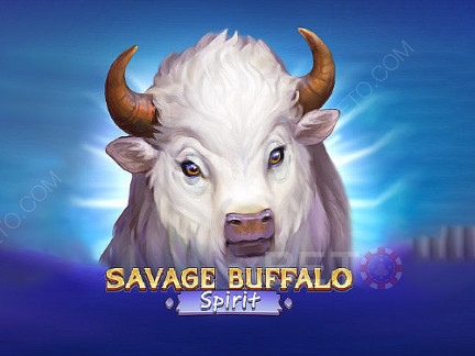Savage Buffalo Spirit Phiên bản thử