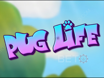 Pug Life Phiên bản thử