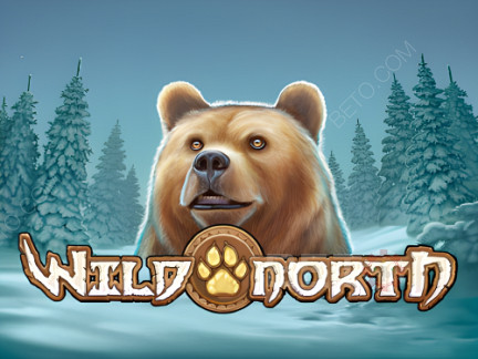 Wild North (Play’n Go) Phiên bản thử