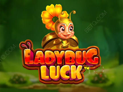 Ladybug Luck  Phiên bản thử
