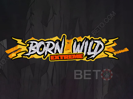 Born Wild Phiên bản thử