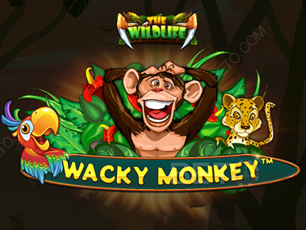 Wacky Monkey Phiên bản thử