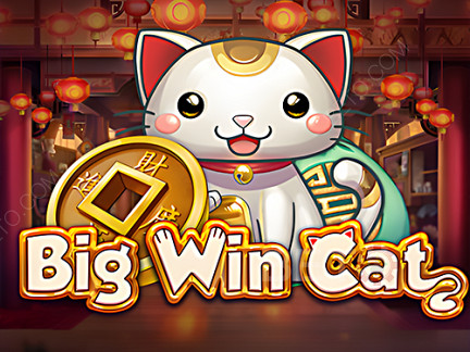 Big Win Cat Phiên bản thử