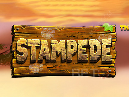 Stampede (Betsoft)  Phiên bản thử