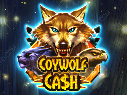 Coywolf Cash Phiên bản thử