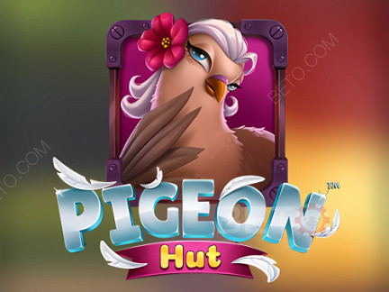 Pigeon Hut Phiên bản thử