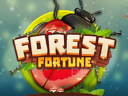 Forest Fortune Phiên bản thử