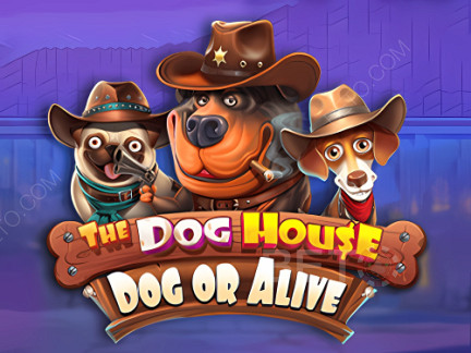 The Dog House - Dog or Alive Phiên bản thử