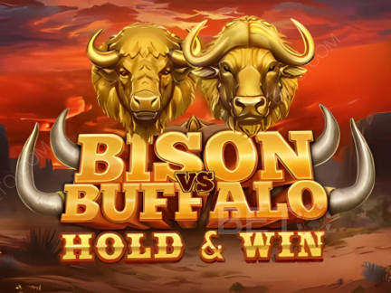 Bison vs Buffalo Phiên bản thử