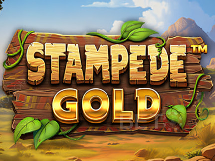 Stampede Gold Phiên bản thử