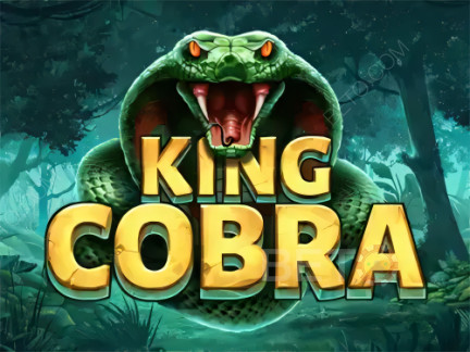 King Cobra Phiên bản thử