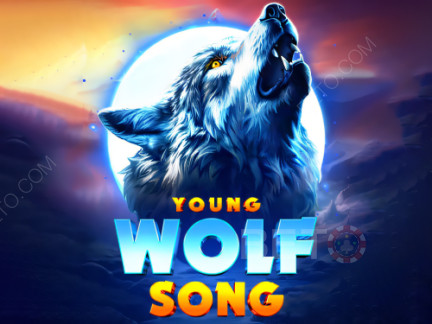 Young Wolf Song Phiên bản thử