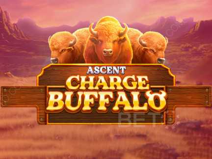 Charge Buffalo-ASCENT Phiên bản thử