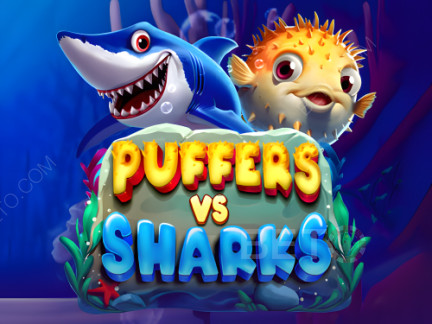 Puffers Vs Sharks Phiên bản thử