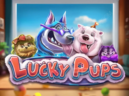 Lucky Pups Phiên bản thử